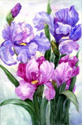 Iris Tile